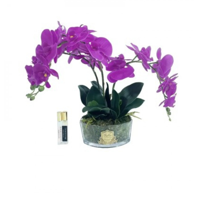композиция  Cote Noire Orchids Fuchsia - купить в магазине Yves Delorme Russia