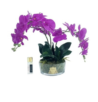 Orchids White
