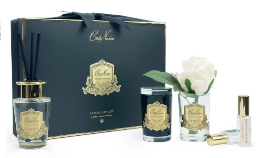 Reine de la Nuit